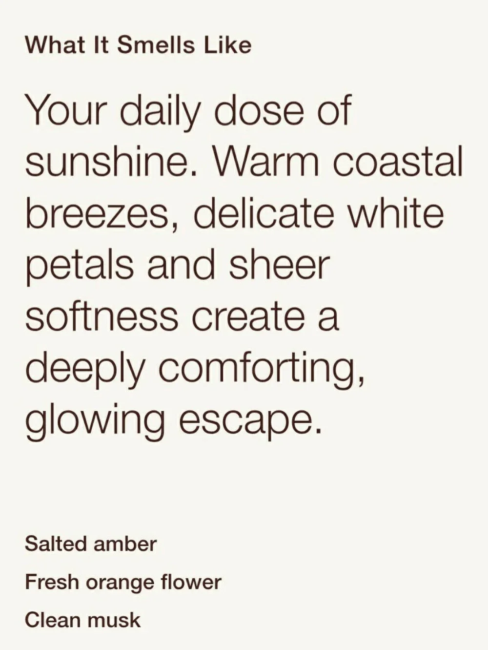 SALTED AMBER & BERGAMOT -Bath & Body Works Candle Wax Melts- $8 per pack